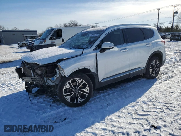 2020 Hyundai Santa Fe SEL with VIN 5NMS3CAA8LH299704, listed as a Copart auction lot 41842335 with 55,980 mi miles and Salvage Title. Bid and sale history available at carsss.com. Image 1.
