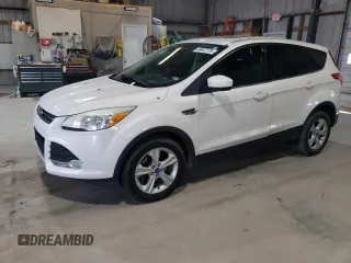 2013 Ford Escape SE with VIN 1FMCU0GX3DUB82887, listed as a Copart auction lot 49047175 with 185,438 mi miles and Clean Title. Bid and sale history available at carsss.com. Image 1.