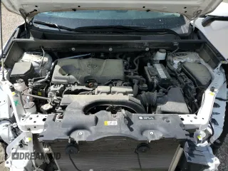 2019 Toyota RAV4 XLE with VIN 2T3P1RFV3KC037238, listed as a Copart auction lot 51245615 with 59,093 mi miles and Salvage Title. Bid and sale history available at carsss.com. Image 12.