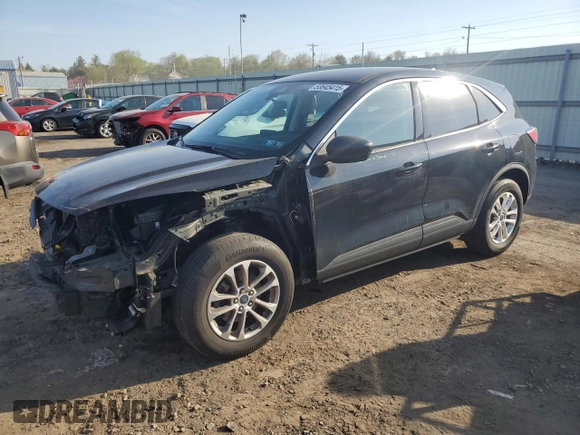 2022 Ford Escape SE with VIN 1FMCU9G65NUB22946, listed as a Copart auction lot 53645415 with 31,167 mi miles and Salvage Title. Bid and sale history available at DreamBid. Image 1.