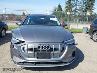 2019 Audi e-tron Premium Plus with VIN WA1LAAGE4KB012574, listed as a IAAI auction lot 41916641 with 104,911 mi miles. Bid and sale history available at carsss.com. Image 12.