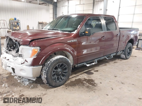2009 Ford F-150 XL with VIN 1FTPW14V19FA15416, listed as a IAAI auction lot 41203618 with 135,758 mi miles. Bid and sale history available at carsss.com. Image 17.