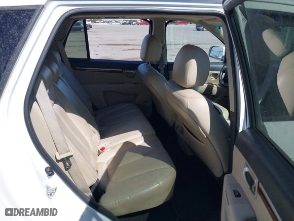 2008 Hyundai Santa Fe SE with VIN 5NMSH13E48H194784, listed as a IAAI auction lot 41824245 with 199,238 mi miles. Bid and sale history available at carsss.com. Image 8.