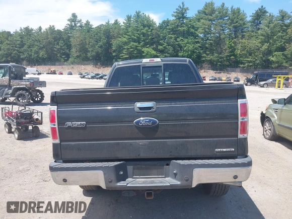 2011 Ford F-150 XL with VIN 1FTFX1EF4BFA98684, listed as a IAAI auction lot 42561624 with 163,066 mi miles and . Bid and sale history available at DreamBid. Image 16.