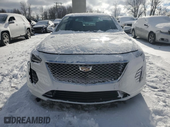 2019 Cadillac CT6 Luxury AWD with VIN 1G6KB5RS6KU117942, listed as a Copart auction lot 81820954 with Not provided miles and Salvage title. Bid and sale history available at DreamBid. Image 5.