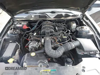 2010 Ford Mustang V6 with VIN 1ZVBP8AN6A5120674, listed as a IAAI auction lot 41986060 with 144,388 mi miles and . Bid and sale history available at carsss.com. Image 10.