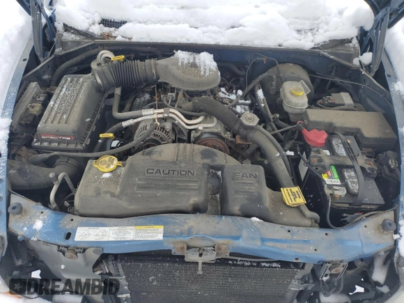2003 Dodge Dakota SLT with VIN 1D7HL42X63S219989, listed as a Copart auction lot 41495915 with 83,841 mi miles and Clean Title. Bid and sale history available at carsss.com. Image 11.