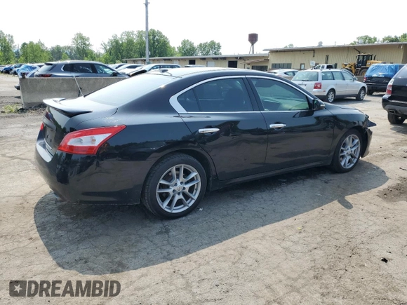2010 Nissan Maxima SV with VIN 1N4AA5AP0AC834558, listed as a Copart auction lot 59543425 with 171,377 mi miles and Salvage title. Bid and sale history available at DreamBid. Image 3.