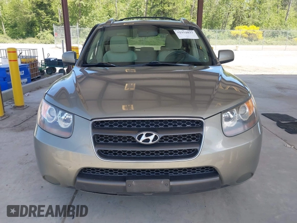 2007 Hyundai Santa Fe GLS с VIN 5NMSG73D87H065488, выставлен на аукционе IAAI как лот 42352837 с пробегом 209 900 миль миль и . История ставок и продаж доступна на DreamBid. Изображение 12.