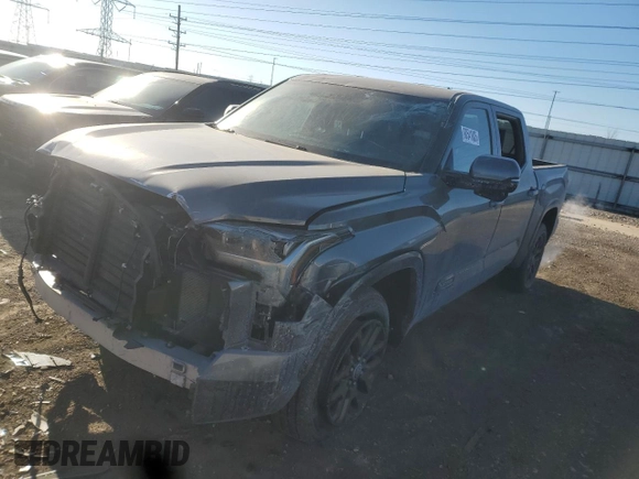 2023 Toyota Tundra Platinum with VIN 5TFNA5DB6PX102836, listed as a Copart auction lot 88541885 with 22,828 mi miles and Salvage title. Bid and sale history available at DreamBid. Image 1.