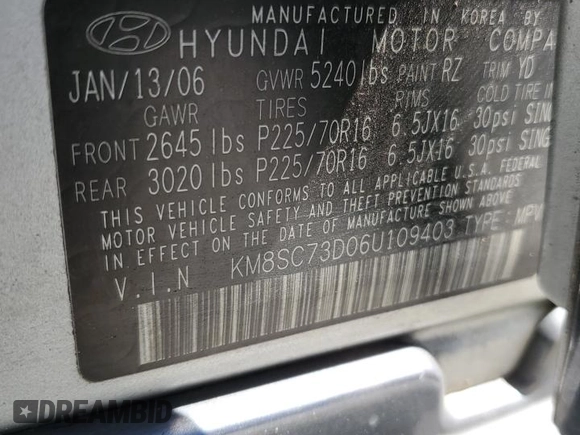 2006 Hyundai Santa Fe GLS with VIN KM8SC73D06U109403, listed as a Copart auction lot 49452365 with 138,445 mi miles and Salvage Title. Bid and sale history available at carsss.com. Image 13.