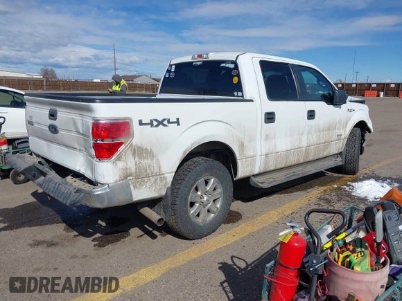 2013 Ford F-150 XL with VIN 1FTFW1ET3DKD37001, listed as a IAAI auction lot 41721169 with 137,271 mi miles. Bid and sale history available at carsss.com. Image 4.