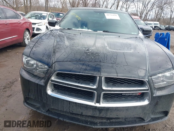 2012 Dodge Charger SE with VIN 2C3CDXBG6CH213432, listed as a IAAI auction lot 41735192 with 171,777 mi miles and . Bid and sale history available at DreamBid. Image 12.