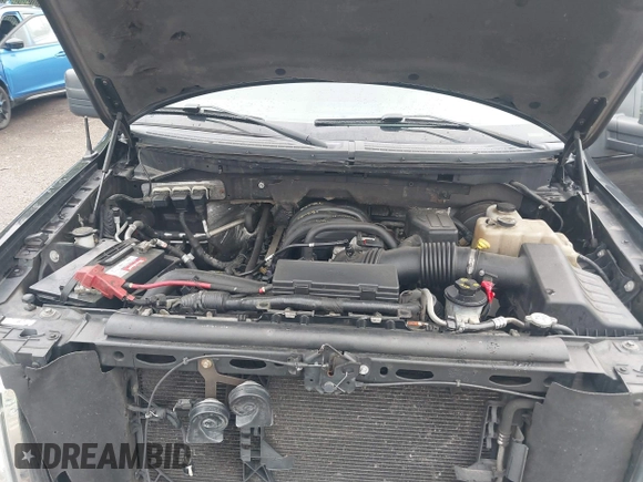 2010 Ford F-150 XL with VIN 1FTEX1C80AFA52185, listed as a IAAI auction lot 42526982 with 223,564 mi miles and . Bid and sale history available at DreamBid. Image 10.