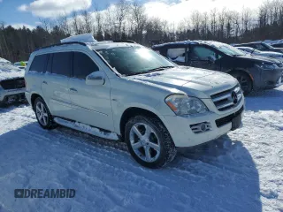 2009 Mercedes-Benz GL-Class 3.0L BlueTEC with VIN 4JGBF25E19A488045, listed as a Copart auction lot 46063375 with 242,880 mi miles and Clean Title. Bid and sale history available at carsss.com. Image 4.