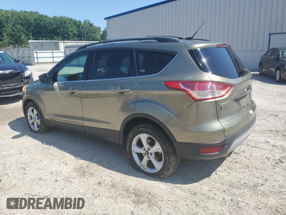 2013 Ford Escape SE with VIN 1FMCU0GX0DUD65115, listed as a Copart auction lot 61616295 with 175,375 mi miles and Salvage title. Bid and sale history available at DreamBid. Image 2.