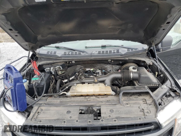 2019 Ford F-150 XL with VIN 1FTEW1CP8KFD08634, listed as a Copart auction lot 48930465 with 181,979 mi miles and Clean Title. Bid and sale history available at carsss.com. Image 11.