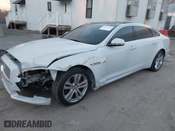 2017 Jaguar XJ with VIN SAJWJ2GD5H8W08395, listed as a IAAI auction lot 41014883 with 80,584 mi miles. Bid and sale history available at carsss.com. Image 2.