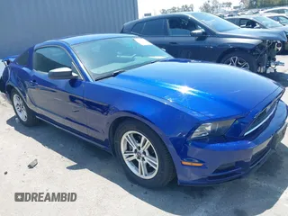 2014 Ford Mustang V6 с VIN 1ZVBP8AM2E5275266, выставлен на аукционе IAAI как лот 42520260 с пробегом 117 589 миль миль и . История ставок и продаж доступна на DreamBid. Изображение 1.