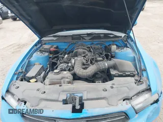 2010 Ford Mustang V6 with VIN 1ZVBP8AN6A5114955, listed as a IAAI auction lot 41219711 with 143,658 mi miles and . Bid and sale history available at DreamBid. Image 10.