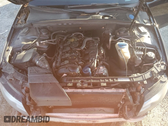 2010 Audi A4 2.0T Premium Plus with VIN WAUWFAFL5AA068058, listed as a Copart auction lot 87261144 with 213,891 mi miles and Salvage Title. Bid and sale history available at carsss.com. Image 11.