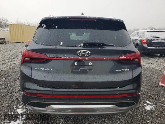 2023 Hyundai Santa Fe Hybrid Limited with VIN 5NMS5DA13PH023064, listed as a Copart auction lot 80770594 with 13,567 mi miles and Salvage Title. Bid and sale history available at carsss.com. Image 6.