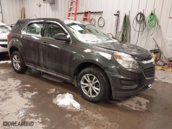 2017 Chevrolet Equinox LS with VIN 2GNFLEEK0H6146465, listed as a IAAI auction lot 41608780 with 124,643 mi miles. Bid and sale history available at carsss.com. Image 1.