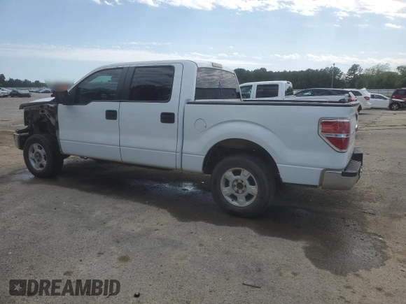 2010 Ford F-150 XL with VIN 1FTEW1C83AFB09935, listed as a Copart auction lot 52312545 with 177,760 mi miles and Salvage Title. Bid and sale history available at carsss.com. Image 2.