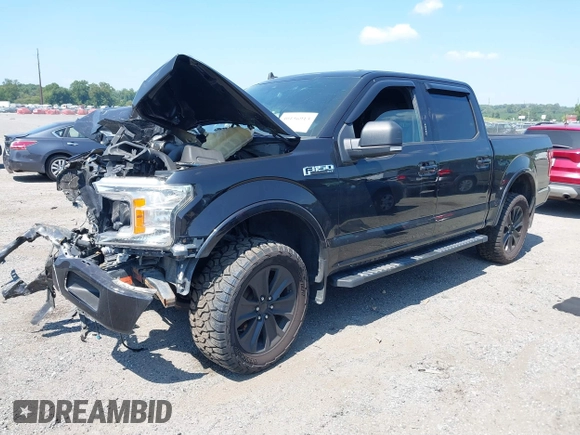2019 Ford F-150 XL with VIN 1FTEW1EP3KFD04455, listed as a IAAI auction lot 40156913 with 94,918 mi miles. Bid and sale history available at carsss.com. Image 2.