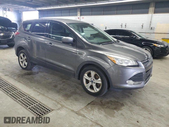 2014 Ford Escape SE with VIN 1FMCU0GX1EUB56869, listed as a Copart auction lot 55886845 with 175,575 mi miles and Clean Title. Bid and sale history available at DreamBid. Image 4.