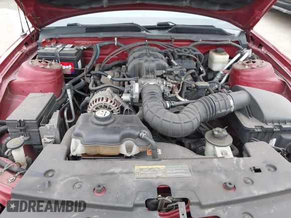 2008 Ford Mustang Deluxe with VIN 1ZVHT80N485107892, listed as a IAAI auction lot 42410036 with 117,977 mi miles and . Bid and sale history available at DreamBid. Image 10.