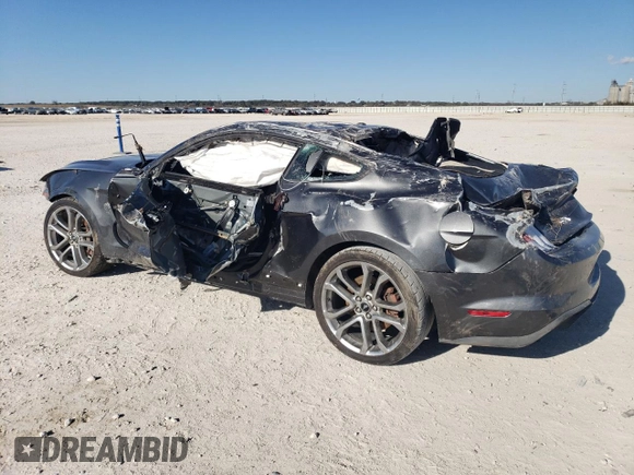 2019 Ford Mustang GT with VIN 1FA6P8CF2K5120723, listed as a Copart auction lot 87422134 with Not provided miles and Salvage title. Bid and sale history available at DreamBid. Image 2.