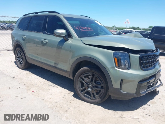 2024 Kia Telluride EX with VIN 5XYP3DGC8RG441640, listed as a IAAI auction lot 42308085 with Not provided miles and . Bid and sale history available at DreamBid. Image 1.