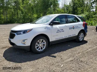 2019 Chevrolet Equinox LS with VIN 2GNAXSEV0K6121192, listed as a Copart auction lot 60967374 with 125,337 mi miles and Salvage Title. Bid and sale history available at carsss.com. Image 1.
