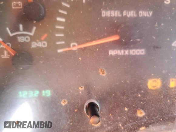 1999 Dodge Ram 2500 with VIN 3B7KF266XXM546245, listed as a Copart auction lot 74755734 with 123,219 mi miles and Salvage Title. Bid and sale history available at carsss.com. Image 9.