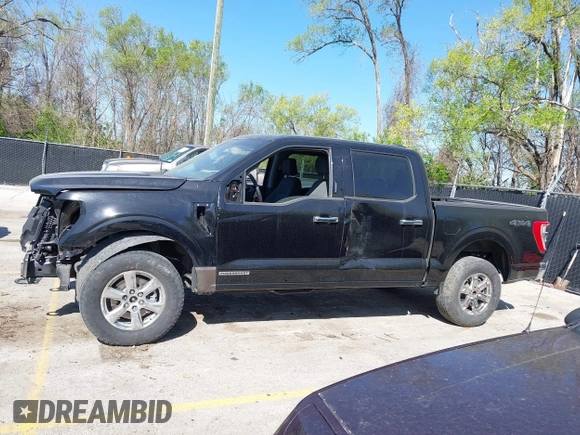 2024 Ford F-150 XLT with VIN 1FTFW3LD1RFA75938, listed as a IAAI auction lot 42011485 with 14,674 mi miles. Bid and sale history available at carsss.com. Image 14.