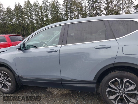 2021 Honda CR-V EX-L with VIN 2HKRW2H81MH646331, listed as a IAAI auction lot 42139416 with 24,599 mi miles and . Bid and sale history available at DreamBid. Image 14.