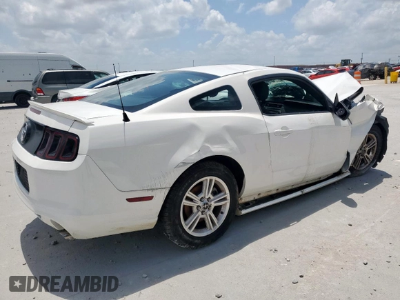 2013 Ford Mustang V6 with VIN 1ZVBP8AM0D5279122, listed as a Copart auction lot 65133915 with Not provided miles and Salvage title. Bid and sale history available at DreamBid. Image 3.