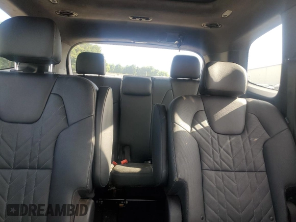 2023 Kia Telluride SX Prestige с VIN 5XYP5DGC9PG410954, выставлен на аукционе Copart как лот 63052425 с пробегом Не указан миль и Списание • Salvage title. История ставок и продаж доступна на DreamBid. Изображение 10.