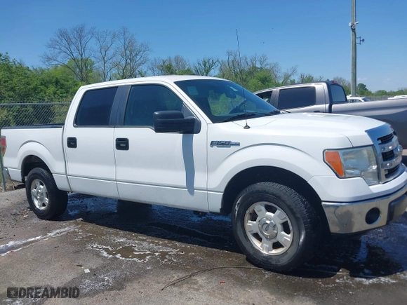 2013 Ford F-150 XL with VIN 1FTEW1CM7DFC06198, listed as a IAAI auction lot 41979746 with 197,674 mi miles. Bid and sale history available at carsss.com. Image 13.