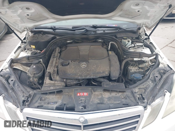 2013 Mercedes-Benz E 350 Luxury with VIN WDDHF8JB0DA685994, listed as a IAAI auction lot 42660807 with 180,807 mi miles and . Bid and sale history available at DreamBid. Image 10.