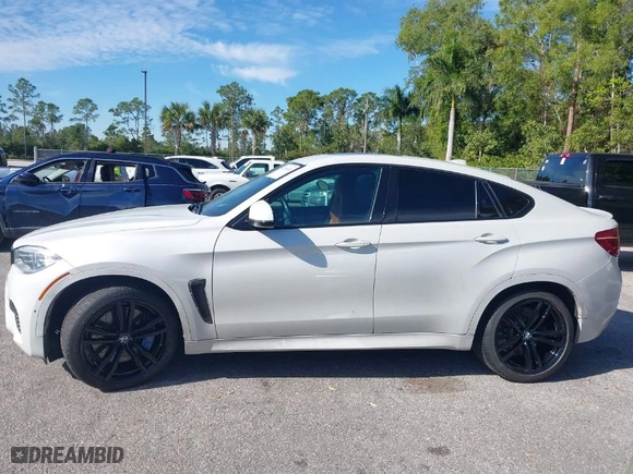 2019 BMW X6 M with VIN 5YMKW8C50K0Y75148, listed as a IAAI auction lot 41244301 with NaN miles. Bid and sale history available at carsss.com. Image 14.