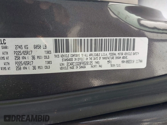 2015 Chrysler Town & Country Limited Platinum with VIN 2C4RC1GG9FR528125, listed as a IAAI auction lot 41925382 with 126,796 mi miles. Bid and sale history available at carsss.com. Image 9.