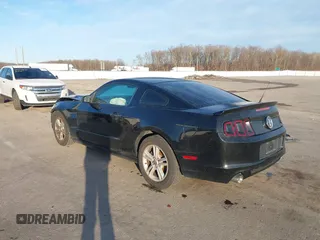 2014 Ford Mustang V6 z VIN 1ZVBP8AM4E5262440, wystawiony jako IAAI lot #41523652 z przebiegiem 140 573 mil mil oraz . Historia ofert i sprzedaży dostępna na DreamBid. Obrazek 3.