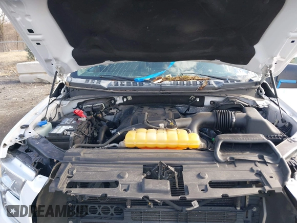 2016 Ford F-150 XLT with VIN 1FTEW1EP5GFC10407, listed as a IAAI auction lot 41729505 with 182,464 mi miles and . Bid and sale history available at carsss.com. Image 10.