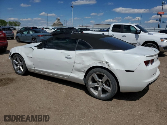2011 Chevrolet Camaro 2LT with VIN 2G1FC1ED4B9103796, listed as a Copart auction lot 58088565 with 125,916 mi miles and Salvage title. Bid and sale history available at DreamBid. Image 2.