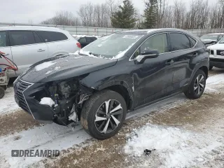2020 Lexus NX with VIN JTJGJRDZ4L2140115, listed as a Copart auction lot 43695605 with 57,146 mi miles and Salvage Title. Bid and sale history available at carsss.com. Image 1.