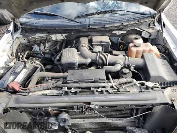 2010 Ford F-150 XL with VIN 1FTFX1CV2AFD12192, listed as a Copart auction lot 49967905 with 205,641 mi miles and Salvage Title. Bid and sale history available at DreamBid. Image 11.