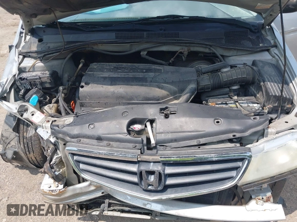 2004 Honda Odyssey LX with VIN 5FNRL18504B129349, listed as a IAAI auction lot 42393492 with 243,232 mi miles and . Bid and sale history available at DreamBid. Image 10.