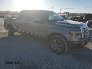 2009 Ford F-150 XL with VIN 1FTPW14V39FB05831, listed as a Copart auction lot 85943924 with 133,893 mi miles and Salvage title. Bid and sale history available at DreamBid. Image 4.
